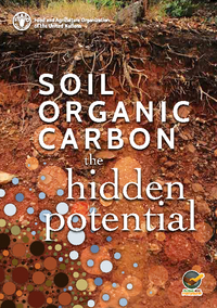 Soil Organic Carbon: the hidden potential